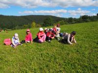 Nejmensi holky na louce.JPG